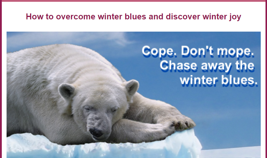 Polar bear winter blues newsletter